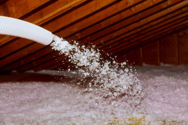 Best Insulation Maintenance and Repair in Belmont, WI