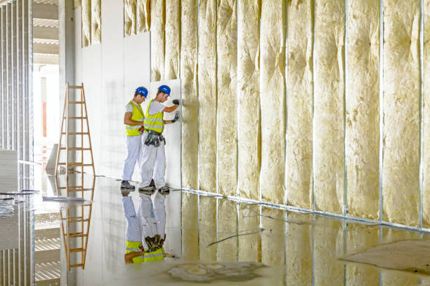 Best Residential Insulation in Belmont, WI
